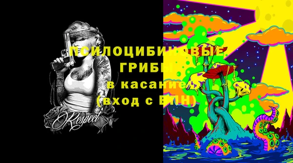 стафф Бронницы